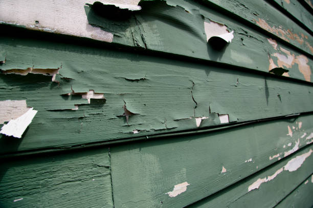 Best Dumpster Rental Services  in Elkton, KY