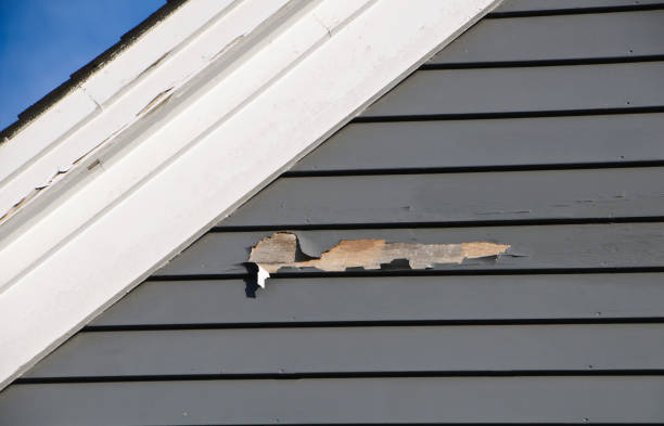 Best Construction Debris Removal  in Elkton, KY