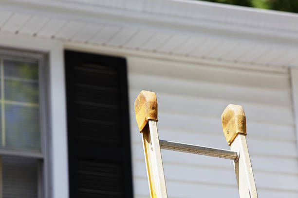 Best Demolition Debris Removal  in Elkton, KY